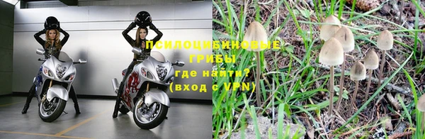 соль ск Ладушкин