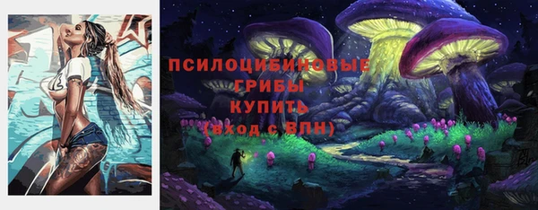 хмурый Лагань