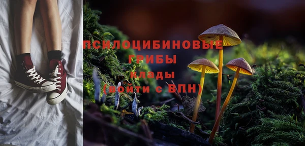хмурый Лагань