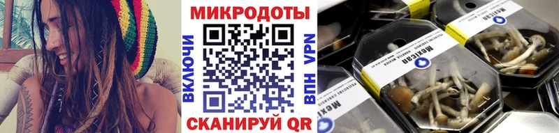 Галлюциногенные грибы MAGIC MUSHROOMS  Купить где  Фёдоровский 